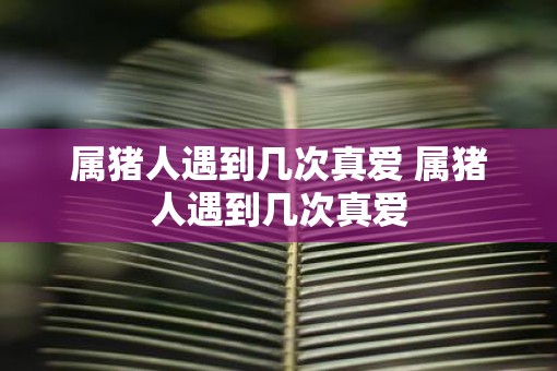 属猪人遇到几次真爱 属猪人遇到几次真爱