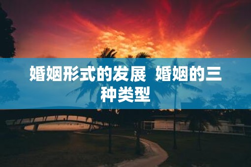婚姻形式的发展  婚姻的三种类型