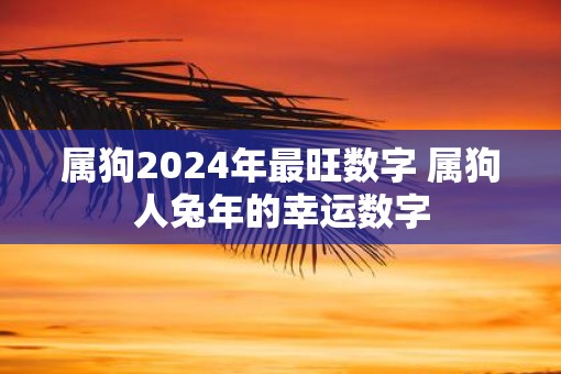属狗2025年最旺数字 属狗人蛇年的幸运数字