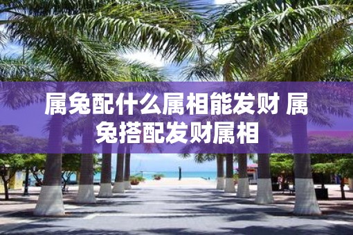 属兔配什么属相能发财 属兔搭配发财属相 属兔配什么属相能发财 属兔搭配发财属相