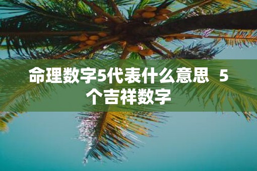 命理数字5代表什么意思  5个吉祥数字