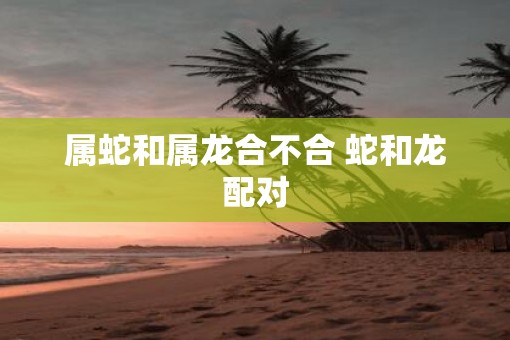 属蛇和属龙合不合 蛇和龙配对