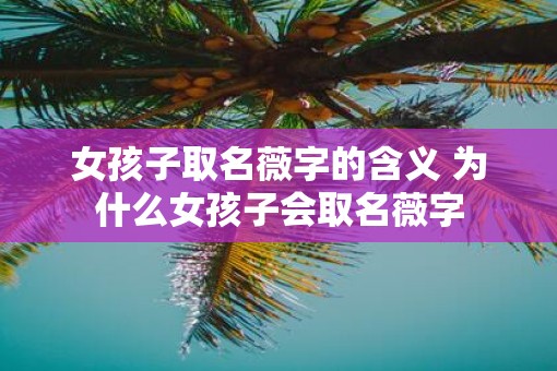 女孩子取名薇字的含义 为什么女孩子会取名薇字