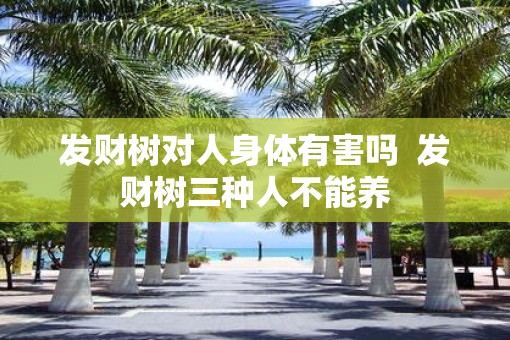 发财树对人身体有害吗  发财树三种人不能养