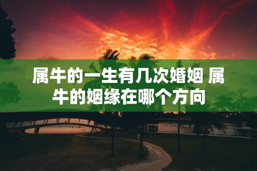 属牛的一生有几次婚姻 属牛的姻缘在哪个方向