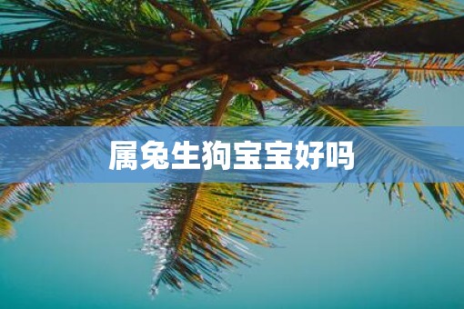 属兔生狗宝宝好吗