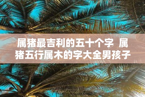 属猪最吉利的五十个字 属猪五行属木的字大全男孩子 属猪最吉利的五十个字 属猪五行属木的字大全男孩子