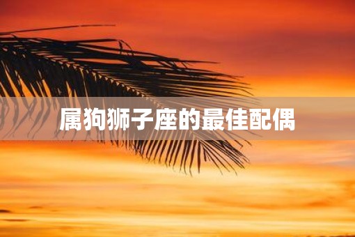 属狗狮子座的最佳配偶 属狗狮子座的最佳配偶
