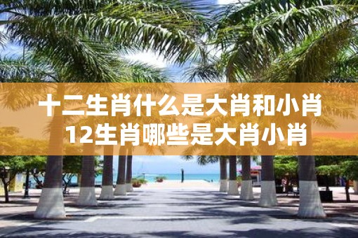 十二生肖什么是大肖和小肖  12生肖哪些是大肖小肖