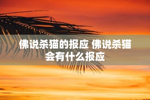 佛说杀猫的报应 佛说杀猫会有什么报应