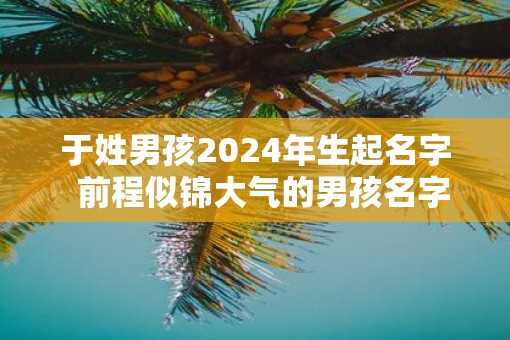 于姓男孩2025年生起名字  前程似锦大气的男孩名字
