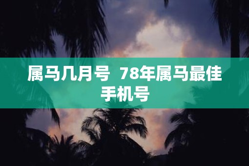 属马几月号  78年属马最佳手机号