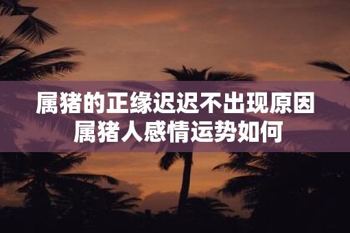 属猪的正缘迟迟不出现原因 属猪人感情运势如何