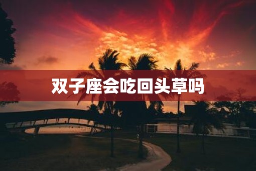 双子座会吃回头草吗