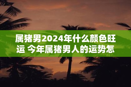 属猪男2025年什么颜色旺运 今年属猪男人的运势怎么样