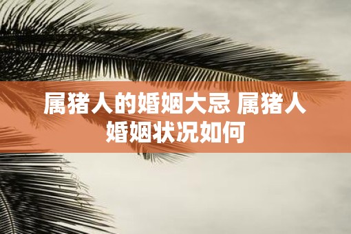 属猪人的婚姻大忌 属猪人婚姻状况如何