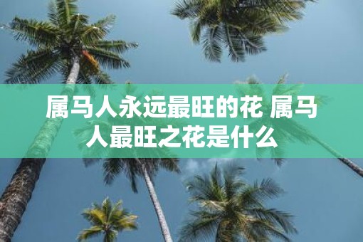 属马人永远最旺的花 属马人最旺之花是什么