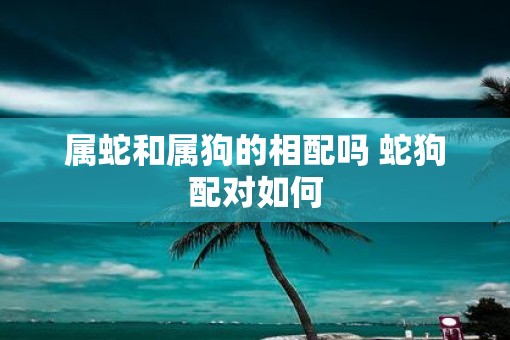 属蛇和属狗的相配吗 蛇狗配对如何