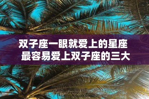 双子座一眼就爱上的星座  最容易爱上双子座的三大星座