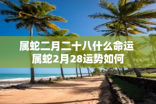 属蛇二月二十八什么命运 属蛇2月28运势如何
