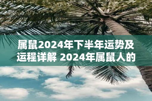 属鼠2025年下半年运势及运程详解 2025年属鼠人的全年每月运势