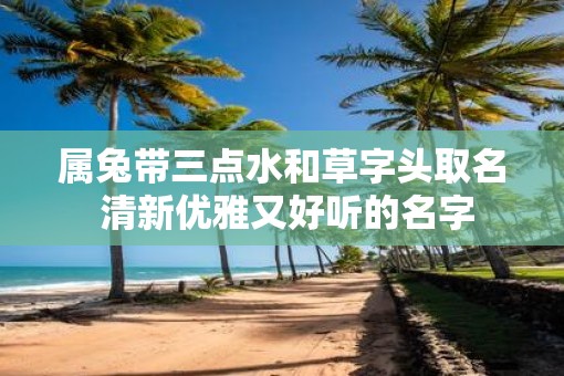属兔带三点水和草字头取名 清新优雅又好听的名字