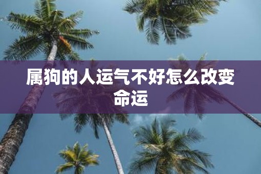 属狗的人运气不好怎么改变命运