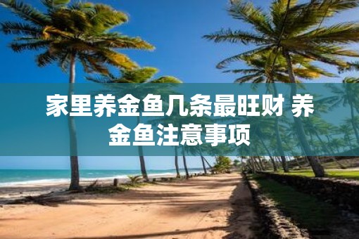 家里养金鱼几条最旺财 养金鱼注意事项