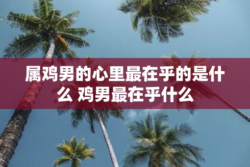 属鸡男的心里最在乎的是什么 鸡男最在乎什么