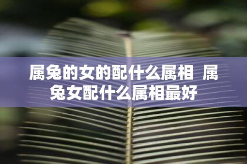 属兔的女的配什么属相  属兔女配什么属相最好