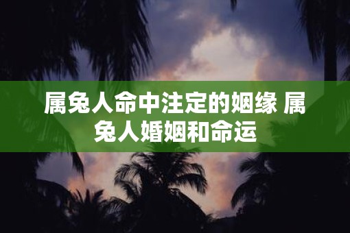 属兔人命中注定的姻缘 属兔人婚姻和命运