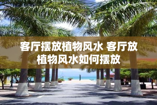 客厅摆放植物风水 客厅放植物风水如何摆放