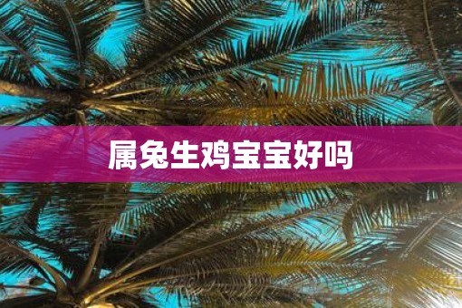 属兔生鸡宝宝好吗
