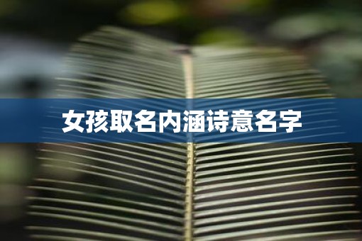 女孩取名内涵诗意名字