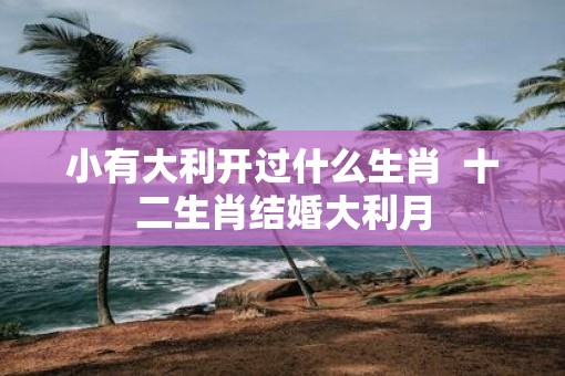 小有大利开过什么生肖  十二生肖结婚大利月