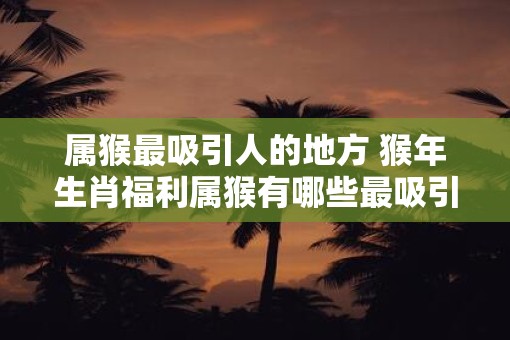 属猴最吸引人的地方 猴年生肖福利属猴有哪些最吸引人的特点 属猴最吸引人的地方 猴年生肖福利属猴有哪些最吸引人的特点