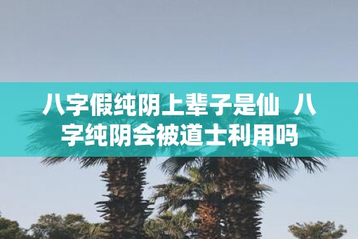 八字假纯阴上辈子是仙  八字纯阴会被道士利用吗