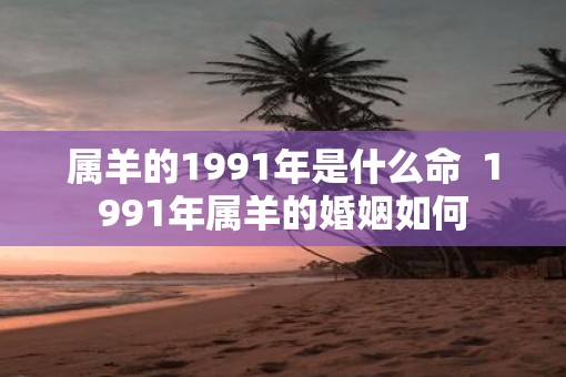 属羊的1991年是什么命  1991年属羊的婚姻如何