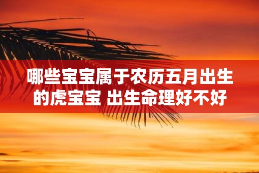 哪些宝宝属于农历五月出生的虎宝宝 出生命理好不好