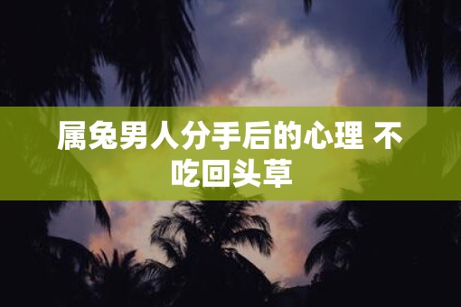 属兔男人分手后的心理 不吃回头草