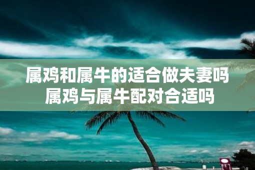 属鸡和属牛的适合做夫妻吗 属鸡与属牛配对合适吗