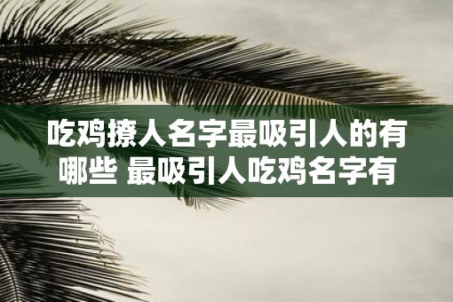 吃鸡撩人名字最吸引人的有哪些 最吸引人吃鸡名字有哪些
