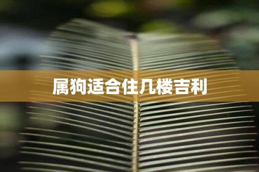 属狗适合住几楼吉利