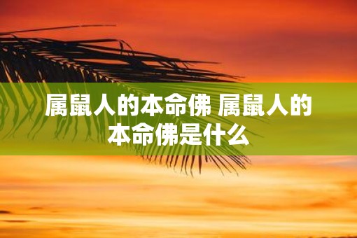 属鼠人的本命佛 属鼠人的本命佛是什么