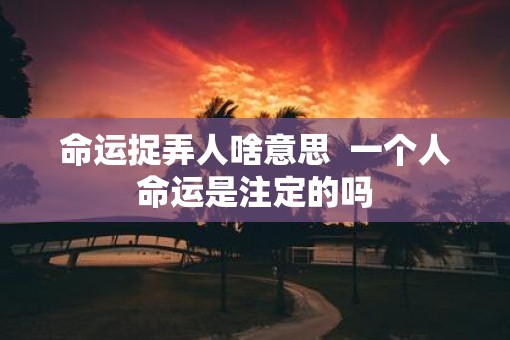 命运捉弄人啥意思  一个人命运是注定的吗