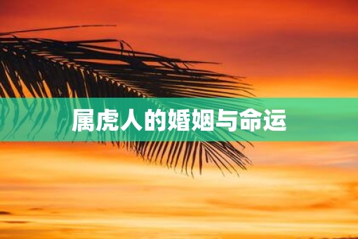 属虎人的婚姻与命运