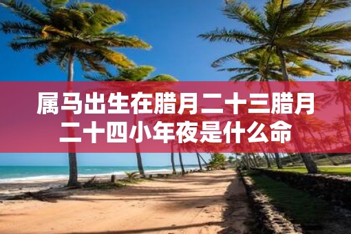 属马出生在腊月二十三腊月二十四小年夜是什么命