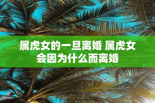 属虎女的一旦离婚 属虎女会因为什么而离婚
