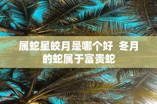 属蛇星皎月是哪个好  冬月的蛇属于富贵蛇