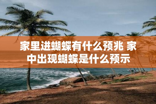 家里进蝴蝶有什么预兆 家中出现蝴蝶是什么预示